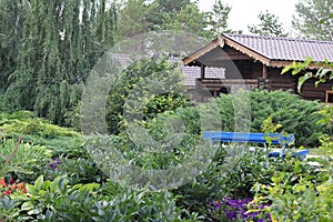 Wooden house in the blossomed garden