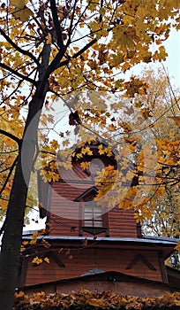 Wooden house in the center of Moscow, Timiryazevskiy park