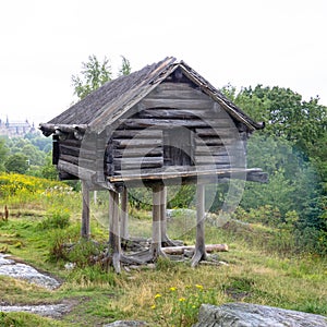 Wooden house on chicken or bird legs