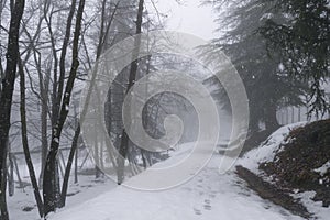 Wooden house covered with snow across winter forest in snow. House in mountains.snowy winter landscape in the forest. Steps on sno