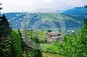 wooden house on the edge of the forest in the mountains