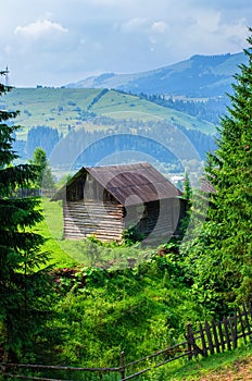 Wooden house on the edge of the forest in the mountains