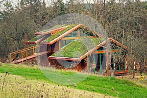 Wooden house with extensive green living roof covered with vegetation