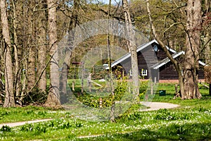 Wooden house in the forest