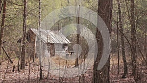 Wooden House in the Forest, long shot