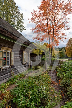 Wooden house and garden autumn scene Lithuania
