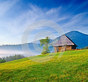 Wooden house on a green hill