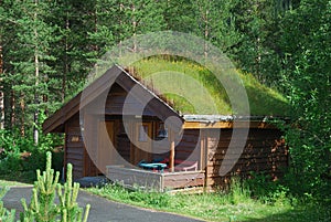 Wooden house with green roof in forest.