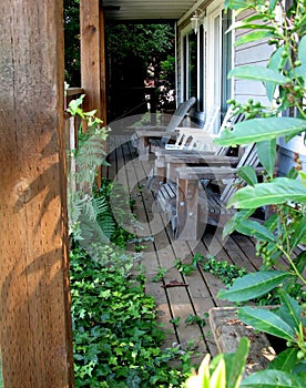 Wooden house with ivy plants growing over deck