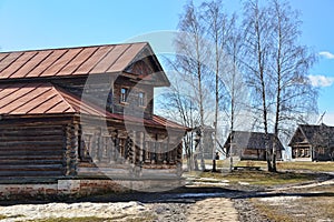 Wooden House with Mezzanine and Birch Trees in Spring