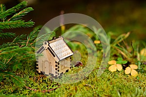 Wooden house model in the forest. concept