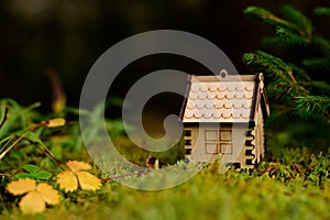 Wooden house model in the forest. concept