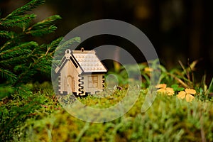 Wooden house model in the forest. concept