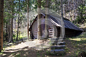 wooden house in the mountains