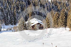 Wooden house in the mountains with snow and trees in winter in Stubai Alps