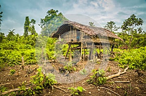 Wooden house with pigs