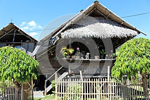 Wooden house on piles, village life, white dog, poor village hut with coco palm leaf roof