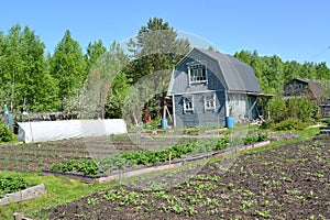 Wooden house on the seasonal dacha in the spring afternoon photo