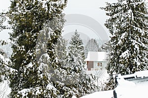 Wooden house in a snowy forest. Hotel. ski resort