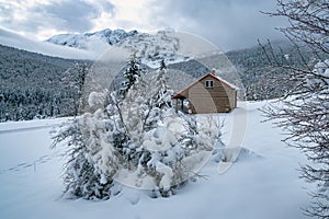 Wooden house in snowy winter landscape