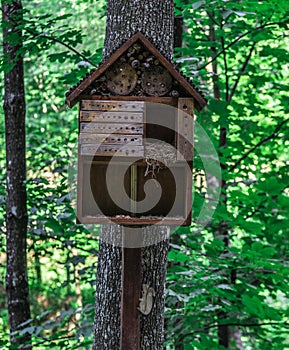 A wooden house for squirrels in the form of a birdhouse on a tree the forest.