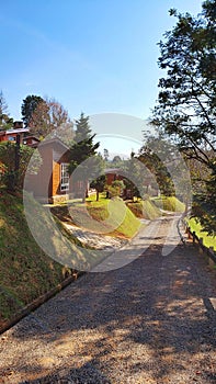 A wooden house on top of the hill, on the side of the road surrounded by many trees on a sunny day