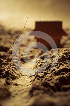 Wooden house and a tree in a desert - macro composition. Shallow