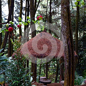 A wooden house or tree house located in a tourist village, namely SIKRIKIL, which is located in Wadaslintang