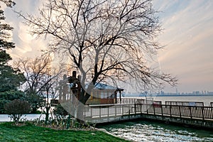 Wooden house and tree in the winter, lake and twilight at the Donghu East Lake of  Wuhan City of China