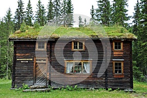 Wooden house with turf roof