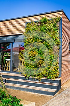 Wooden house wall of modern house or cafe with vertical garden