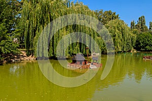 Wooden house for water birds and turtles on lake in city park