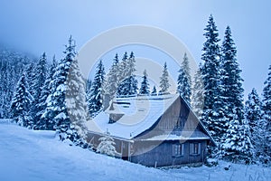 Wooden house in winter mountains. Village house on winter ski resort. Snowy mountain forest. Beautiful frosty trees