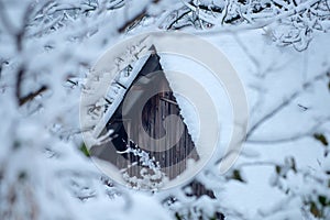 Wooden house in winter snow forest. Wooden house in snow fairy forest. Snow storm house.