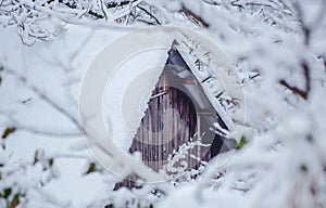 Wooden house in winter snow forest. Wooden house in snow fairy forest. Snow storm house.