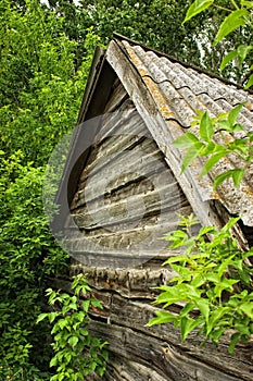 Wooden house in the woods