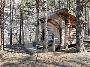 Wooden house in the woods photo