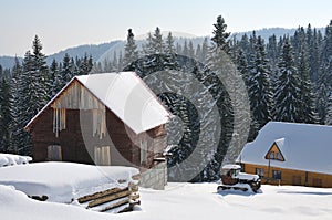 Wooden houses on a background of snowy forest