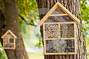 Wooden houses for hibernating insects
