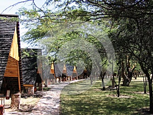 the wooden houses in Kenyas Masai Mara National Reserve