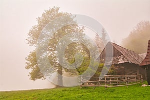 Wooden houses in Podsip mountain village during misty morning in Sipska Mala Fatra mountains