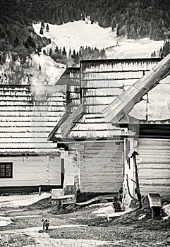 Wooden houses in Vlkolinec village, Slovakia, Unesco, colorless