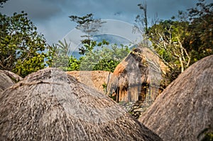 Wooden houses in img
