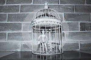 Wooden Human Manikin locked inside a white ornamental bird cage