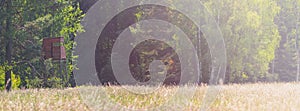 Wooden hunting blind on the edge of the forest, near the meadow