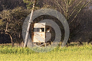 Wooden hunting box hide in the woods - the ideal place light condition for hunting, wildlife watching or photography