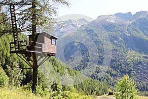 Hunting hut on a tree