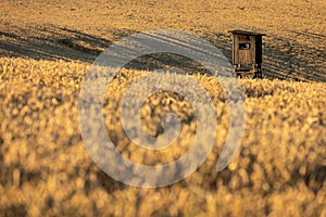 Wooden Hunting Tower amid fields