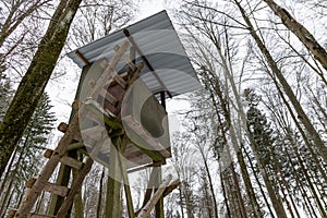 Wooden hunting tower in the forest