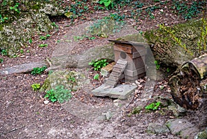 Wooden hut for animals in forest